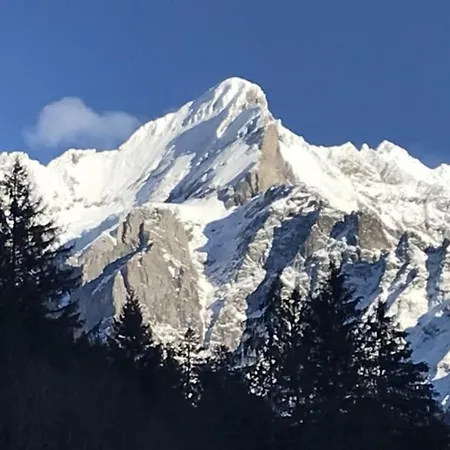 Daire Wychelrain 6 Bett Grindelwald